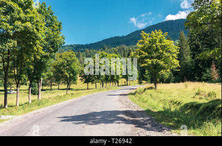 Straße obwohl die Landschaft in den Bergen. Bäume entlang dem Weg. schönen sonnigen Tag Stockfoto