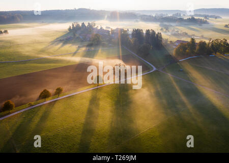 Deutschland, Bayern, Ried in der Nähe von Dietramszell, Bodennebel bei Sonnenaufgang, drone Ansicht Stockfoto