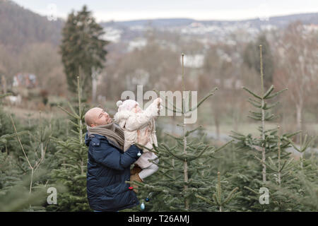 Vater und Tochter schmücken Weihnachtsbaum auf einer Plantage Stockfoto