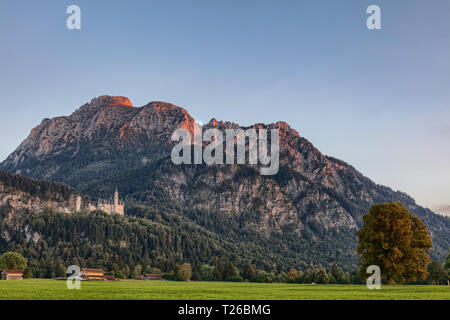 Schloss Neuschwanstein bei Sonnenuntergang mit alpenglühen auf dem Berg Säuling im Hintergrund Stockfoto