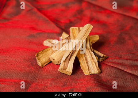 Bursera graveolens, in Spanischer Sprache bekannt als Palo Santo (den "heiligen Wald") ist ein wilder Baum aus Lateinamerika. Es ist für das Verbrennen von Reisig und Weihrauch verwendet Stockfoto