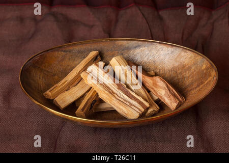 Bursera graveolens, in Spanischer Sprache bekannt als Palo Santo (den "heiligen Wald") ist ein wilder Baum aus Lateinamerika. Es ist für das Verbrennen von Reisig und Weihrauch verwendet Stockfoto