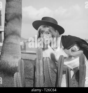 Wundervolles Leben (1964) Susan Hampshire, Datum: 1964 Stockfoto