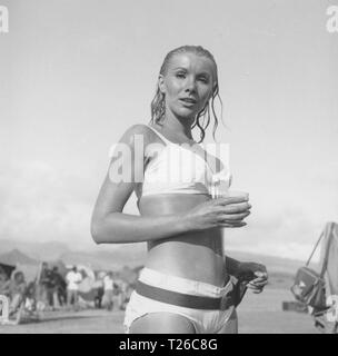 Wundervolles Leben (1964) Susan Hampshire, Datum: 1964 Stockfoto