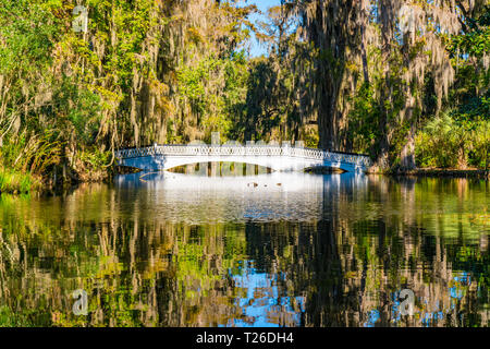 Reflexion der weißen Brücke über einem See in Magnolia Plantation in Charleston, South Carolina Stockfoto