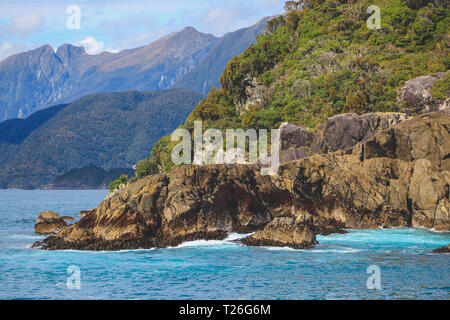 Doubtful Sound Cruise - vorbei an schönen Landschaften im Fjordland National Park, South Island, Neuseeland Stockfoto