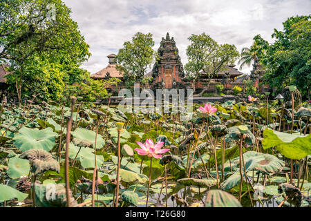 Garten mit blühenden Sacred lotus Blumen vor Lotus (Saraswati) Tempel in Ubud, Bali Stockfoto