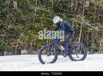 Fatbiking am Mont Sainte Anne in Québec, Kanada Stockfoto