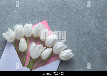 Frühling Flach, Weiße Tulpen in Weiß und Rosa Umschlag auf Grau strukturierten Hintergrund, kopieren - Raumfahrt Stockfoto