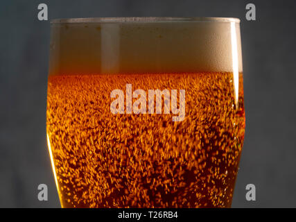 Blasen- und Schaumbildung in die Lichtstrahlen in einem Glas Bier close-up Stockfoto