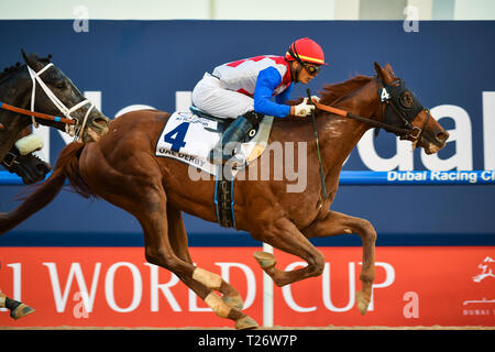 Dubai, VAE. Am 30. März 2019. Plus Que Parfait geritten von Jockey Jose Ortiz gewinnt die UAE Derby an den Meydan. Das Pferd ist von Brendan P Walsh Credit: Feroz Khan/Alamy Leben Nachrichten geschult Stockfoto