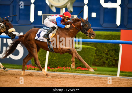 Dubai, VAE. Am 30. März 2019. Plus Que Parfait geritten von Jockey Jose Ortiz gewinnt die UAE Derby an den Meydan. Das Pferd ist von Brendan P Walsh Credit: Feroz Khan/Alamy Leben Nachrichten geschult Stockfoto