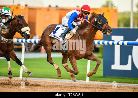 Dubai, VAE. Am 30. März 2019. Plus Que Parfait geritten von Jockey Jose Ortiz gewinnt die UAE Derby an den Meydan. Das Pferd ist von Brendan P Walsh Credit: Feroz Khan/Alamy Leben Nachrichten geschult Stockfoto
