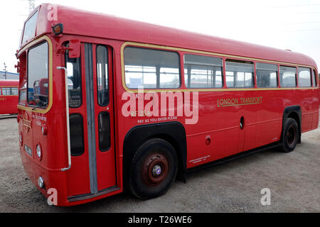 London, UK, 30. März, 2019. London Bus Museum läuft alte Busse in Bellen, und die Passagiere können Sie gratis. Credit: Yanice Idir/Alamy leben Nachrichten Stockfoto