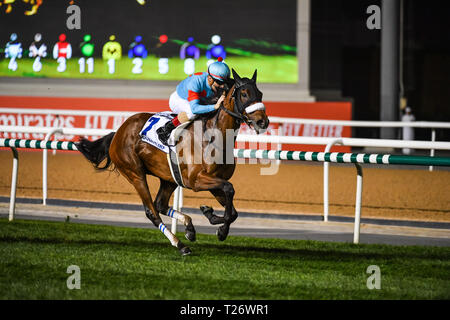 Dubai, VAE. Am 30. März 2019. Mandel Auge geritten von Christophe Lemaire gewinnt die Dubai Rasen auf der Dubai World Cup 2019 Nacht. Das Pferd wird von japanischen Trainer Sakae Kunieda Credit: Feroz Khan/Alamy Leben Nachrichten geschult Stockfoto