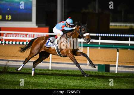 Dubai, VAE. Am 30. März 2019. Mandel Auge geritten von Christophe Lemaire gewinnt die Dubai Rasen auf der Dubai World Cup 2019 Nacht. Das Pferd wird von japanischen Trainer Sakae Kunieda Credit: Feroz Khan/Alamy Leben Nachrichten geschult Stockfoto