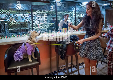 London, Großbritannien. 30. März, 2019. London Fashion Hund Brunch im M Restaurant in Victoria. Credit: Guy Corbishley/Alamy leben Nachrichten Stockfoto