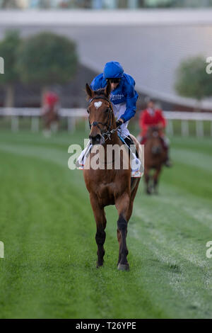 Dubai, USA. 30 Mär, 2019. MEYDAN, VEREINIGTE ARABISCHE EMIRATE''""" März 30: Kreuz, von William Buick geritten, gewinnt die Gruppe 2 Dubai Gold Cup am Dubai World Cup Nacht am Meydan Racecourse in den Vereinigten Arabischen Emiraten. Michael Sportswire McInally/Eclipse/CSM/Alamy leben Nachrichten Stockfoto