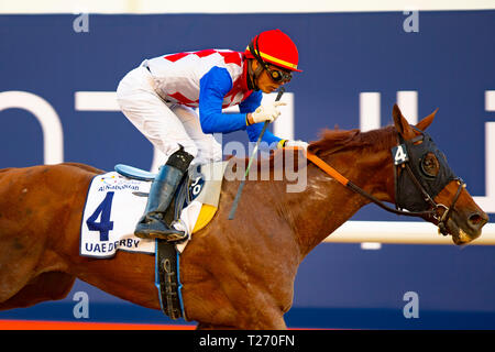 Meydan, Dubai, USA. 30 Mär, 2019. DUBAI, VEREINIGTE ARABISCHE EMIRATE - MÄRZ 30: Plus Que Parfait, geritten von Jose Ortiz, gewinnt die UAE Derby an den Meydan Racecourse am 30. März 2019 in Dubai, Vereinigte Arabische Emirate. Kaz Ishida/Eclipse Sportswire/CSM/Alamy leben Nachrichten Stockfoto