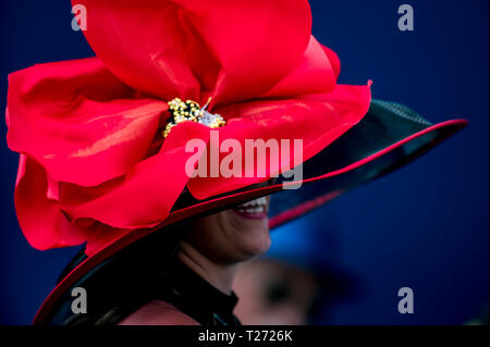 Hallandale Beach, Florida, USA. 30 Mär, 2019. HALLANDALE, Florida - MÄRZ 30: Szenen aus der ganzen Track auf Florida Derby Tag bei Gulfstream Park Race Track in Hallandale Beach, Florida. Scott Serio/Eclipse Sportswire/CSM/Alamy leben Nachrichten Stockfoto