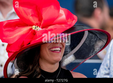 Hallandale Beach, Florida, USA. 30 Mär, 2019. HALLANDALE, Florida - MÄRZ 30: Szenen aus der ganzen Track auf Florida Derby Tag bei Gulfstream Park Race Track in Hallandale Beach, Florida. Scott Serio/Eclipse Sportswire/CSM/Alamy leben Nachrichten Stockfoto