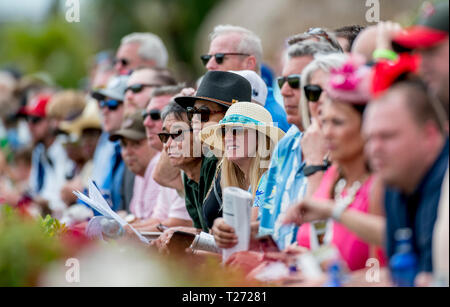 Hallandale Beach, Florida, USA. 30 Mär, 2019. HALLANDALE, Florida - MÄRZ 30: Szenen aus der ganzen Track auf Florida Derby Tag bei Gulfstream Park Race Track in Hallandale Beach, Florida. Scott Serio/Eclipse Sportswire/CSM/Alamy leben Nachrichten Stockfoto