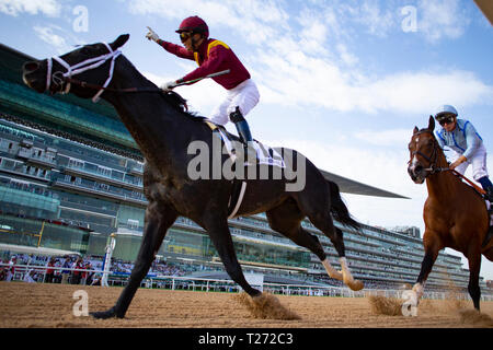 Meydan, Dubai, USA. 30 Mär, 2019. DUBAI, VEREINIGTE ARABISCHE EMIRATE - MÄRZ 30: Kohle Vorne, geritten von Jose Ortiz, gewinnt die Godolphin Mile am Meydan Racecourse am 30. März 2019 in Dubai, Vereinigte Arabische Emirate. Kaz Ishida/Eclipse Sportswire/CSM/Alamy leben Nachrichten Stockfoto