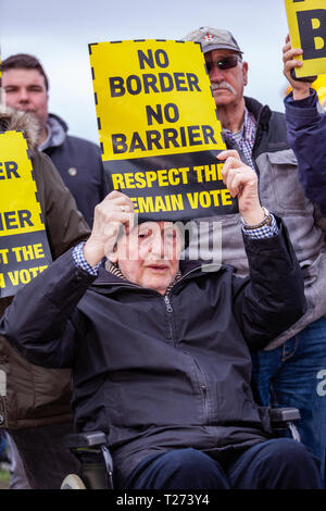 Carrickcarnon, Newry, UK, 30. März 2019. Hunderte von Menschen haben eine Brexit Protest am Carrickcarnon, der eine der wichtigsten Grenzübergangsstellen der britischen Grenze in Irland am Tag nach der UK wurde durch die EU zu verlassen, hunderte von Demonstranten auf der Grenzbrücke zwischen den Newry und Dundalk Straße gesammelt. Credit: Bonzo/Alamy leben Nachrichten Stockfoto