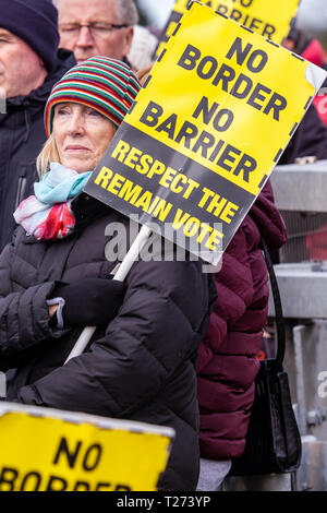 Carrickcarnon, Newry, UK, 30. März 2019. Hunderte von Menschen haben eine Brexit Protest am Carrickcarnon, der eine der wichtigsten Grenzübergangsstellen der britischen Grenze in Irland am Tag nach der UK wurde durch die EU zu verlassen, hunderte von Demonstranten auf der Grenzbrücke zwischen den Newry und Dundalk Straße gesammelt. Credit: Bonzo/Alamy leben Nachrichten Stockfoto