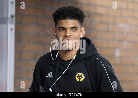 Burnley, Großbritannien. Am 30. März 2019. Morgan Gibbs-White der Wolverhampton Wanderers trifft im Stadion. Premier League match, Burnley v Wolverhampton Wanderers im Turf Moor in Burnley, Lancashire am Samstag, den 30. März 2019. Dieses Bild dürfen nur für redaktionelle Zwecke verwendet werden. Nur die redaktionelle Nutzung, eine Lizenz für die gewerbliche Nutzung erforderlich. Keine Verwendung in Wetten, Spiele oder einer einzelnen Verein/Liga/player Publikationen. pic von Chris Stading/Andrew Orchard sport Fotografie/Alamy leben Nachrichten Stockfoto