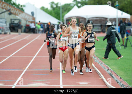 Texas, USA. März 30, 2019: Mackenzie Andrews #1017 mit Akron in Aktion Frauen 1500 Meter laufen Abschnitt A Univ/Coll am Clyde Littlefield Texas Relais, Mike A. Myers Stadion. Austin, Texas. Mario Cantu/CSM Credit: Cal Sport Media/Alamy leben Nachrichten Stockfoto