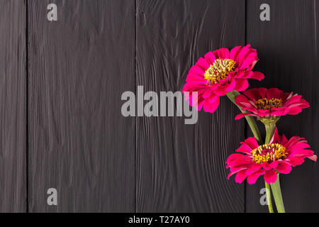 Rahmen von Blumen, Hintergrund, schwarze Bretter, Copyspace Stockfoto