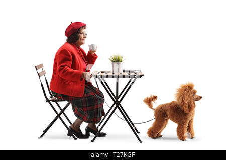 Ältere Frau in einem Cafe mit einem roten Pudel Hund auf weißem Hintergrund sitzen Stockfoto