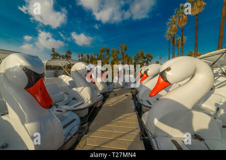 Januar 18, 2019 - ECHO PARK, Los Angeles, CA, USA - White Swan Yachten in Echo Park, Los Angeles, CA Stockfoto