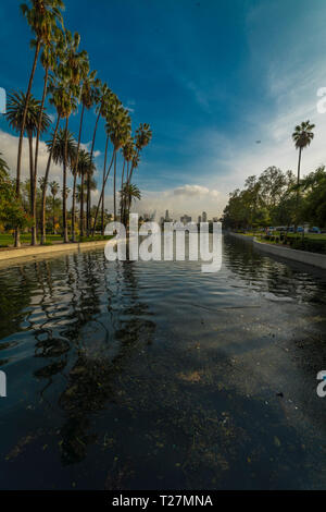 Januar 18, 2019 - ECHO PARK, Los Angeles, CA, USA - See mit Palmen im Echo Park, Los Angeles, CA Stockfoto