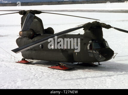 US-Armee/United States Army Boeing CH-47 Chinook Stockfoto