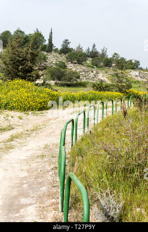 Mediterranen Wald im frühen Morgennebel - grünes Gras schöne Blumen - Geheimnisvolle und echte Natura 2000 geschützt wilde Gegend in Zypern Stockfoto