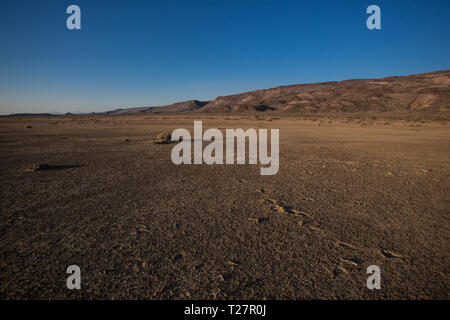 , Mpo. Ocampo, Coahuila, Mexiko Stockfoto