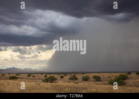 Sonoita, Santa Cruz County, Arizona, USA Stockfoto