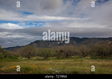 Kitt Peak, Pima County, Arizona, USA Stockfoto