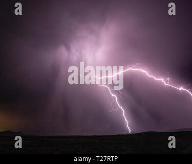 San Bernardino Valley, Cochise County, Arizona, USA Stockfoto