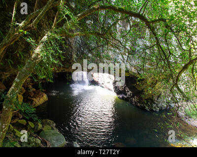 Natürliche Brücke Springbrook National Park Stockfoto