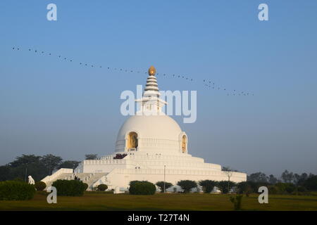 World Peace Pagoda in Lumbini von Nepal entfernt. Vogel fliegen inline über es Stockfoto