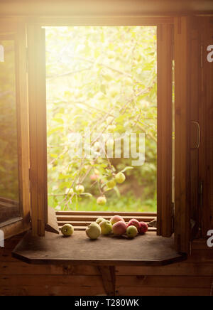 Frische Äpfel auf der Fensterbank. Frische Äpfel auf der Fensterbank Stockfoto