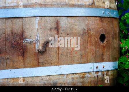 Alte Holz Fass in der Gasse der grasartigen Palm Bay in Sissi auf der Mittelmeerinsel Kreta in Griechenland Stockfoto