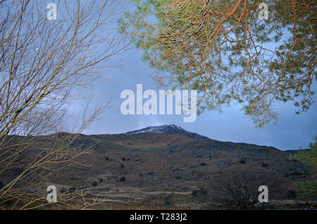 Moel Hebog mit Schnee auf dem Gipfel aus Beddgelert bei Sonnenaufgang gesehen, Snowdonia Stockfoto