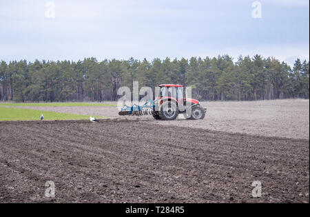 Ein Landwirt auf einem Traktor bereitet das Land mit einem Grubber. Aussaat auf landwirtschaftlichen Feldern. Landwirtschaftliche Tätigkeiten im frühen Frühling. Stockfoto