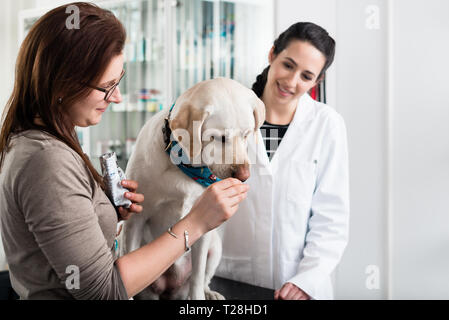 Nahaufnahme einer Frau Fütterung Hund Stockfoto