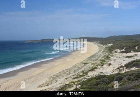 Vogelperspektive von Lighthouse Beach bei Seal Rocks (NSW, Australien) an einem sonnigen Tag im Sommer. Stockfoto