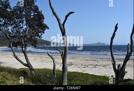 Blick auf die Küste in der Nähe von Seal Rocks an einem sonnigen Tag. Die kleine Insel am südlichen Ende der Nummer eins Strand Seal Rocks Myall Lakes National Park Gre Stockfoto